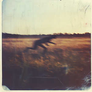 _scanned_10_17_95_003.png