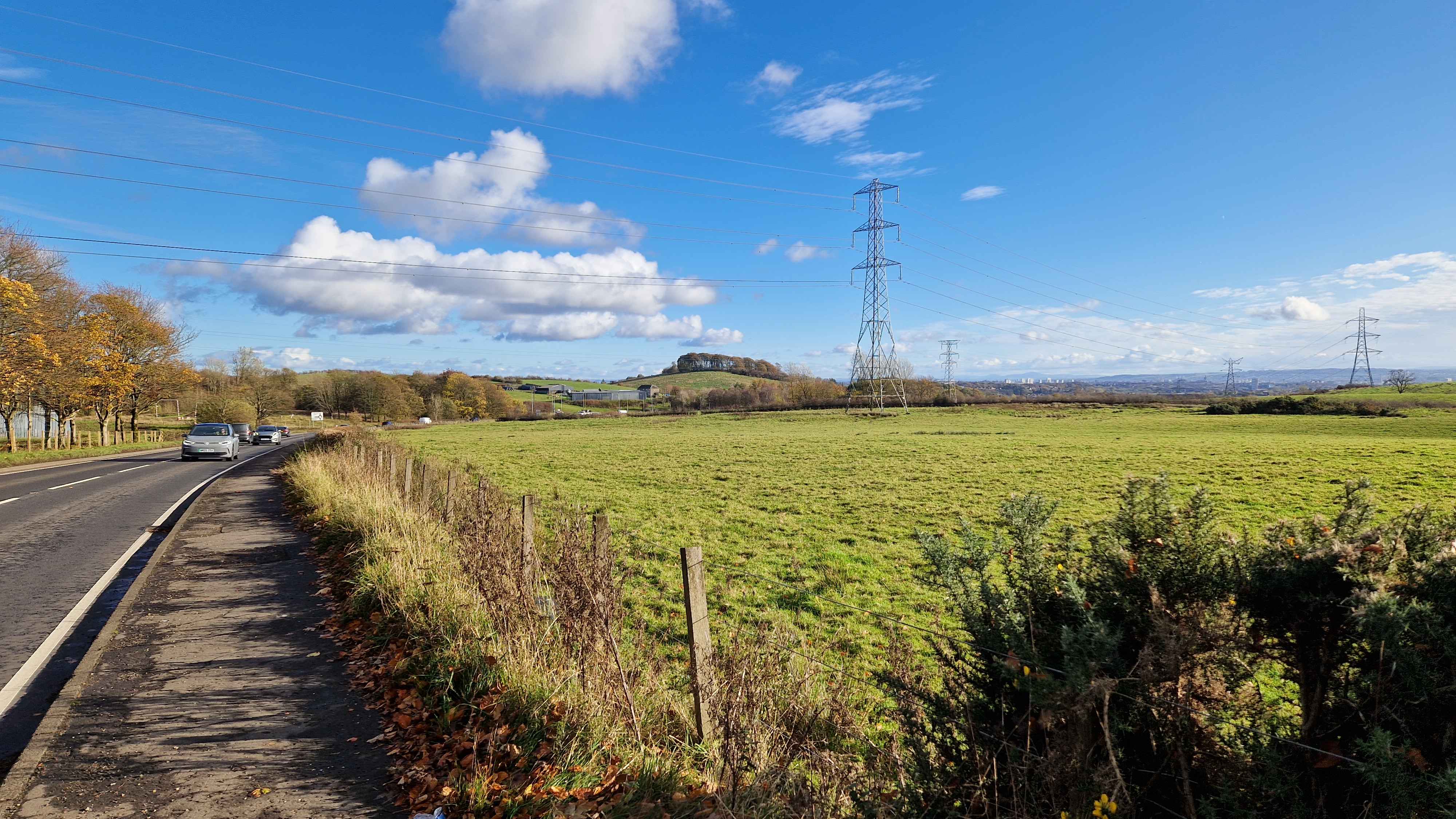 Circle of Trees Walk 1.jpg